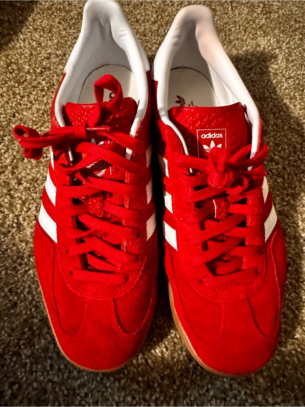 Adidas Felt Red & White Gazelle Sambas